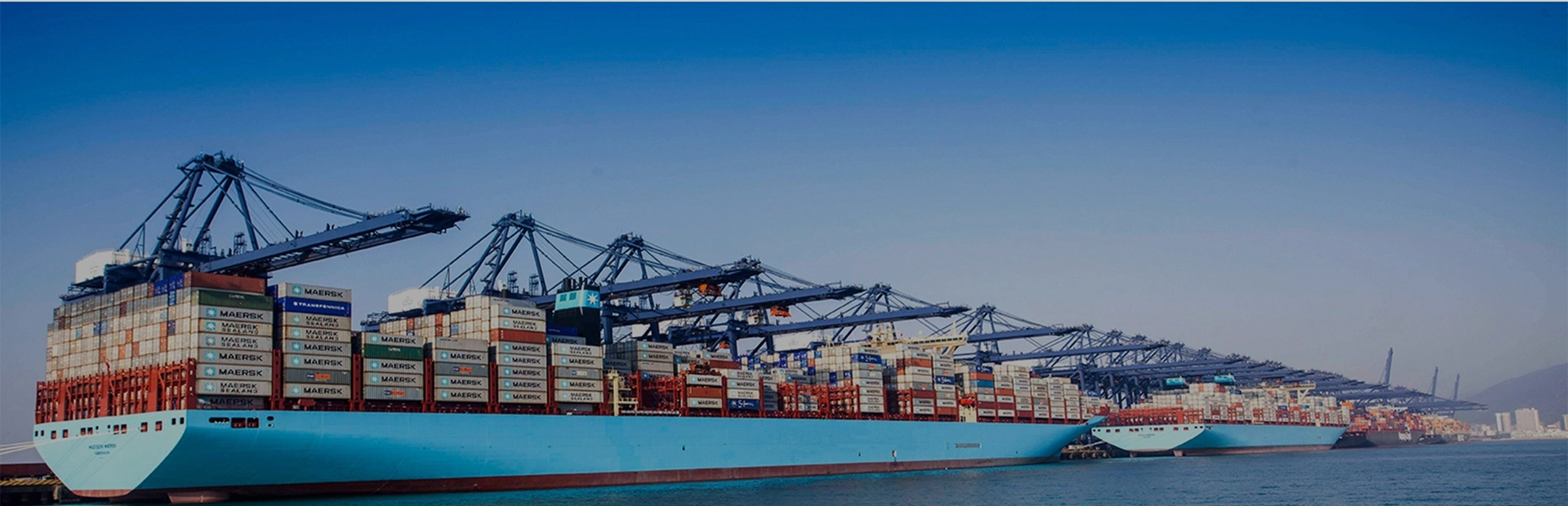 Global Ocean Freight Trends: What's Afloat in the Shipping Industry?