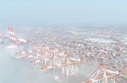 Attention please! Shanghai Port is closed due to heavy fog | Shipping company issues delay notice